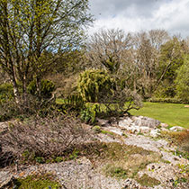 Limestone Paving - Great Orme Garden