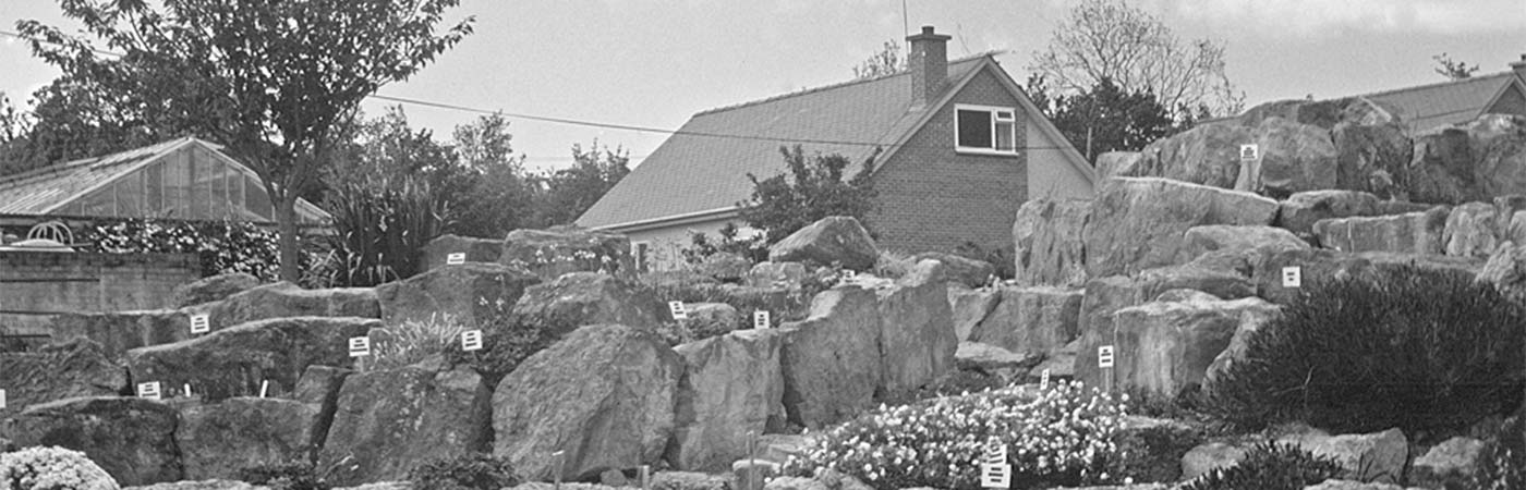 Old Rock Garden